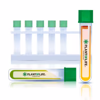 Cannabis Terpeno